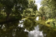 DSC_0055.JPG DSC_0055.JPG
