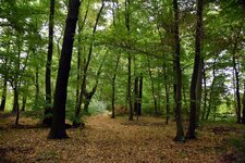 DSC_0204.JPG