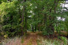 DSC_0158.JPG