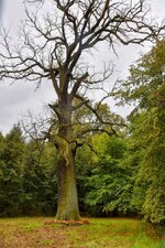 DSC_0155-EDIT.jpg