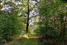 DSC_0149.JPG