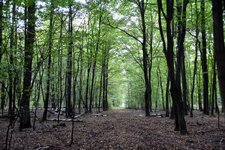 DSC_0173.JPG