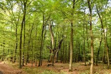 DSC_0199-EDIT.jpg