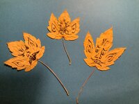 IMG_1860.jpeg