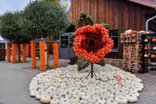 DSC_0109-EDIT.jpg