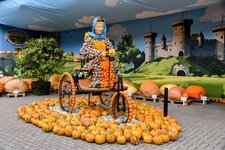 DSC_0157-EDIT.jpg
