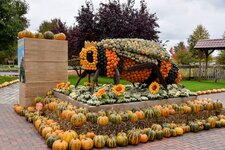 DSC_0188-EDIT.jpg