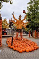 DSC_0120-EDIT-EDIT.jpg