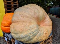 DSC_0169-EDIT.jpg