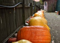 DSC_0178.JPG DSC_0178.JPG