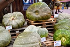 DSC_0206-EDIT (1).jpg