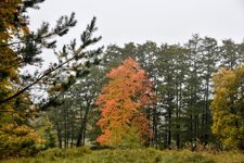 DSC_0065-EDIT.jpg