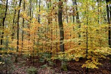 DSC_0010-EDIT.jpg