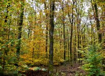 DSC_0007-EDIT.jpg