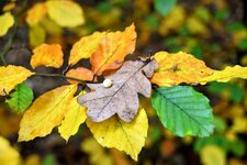 DSC_0044-EDIT.jpg
