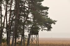 DSC_0119.JPG