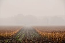 DSC_0095-EDIT.jpg