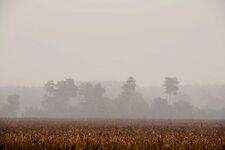 DSC_0129-EDIT.jpg