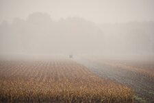 DSC_0086.JPG
