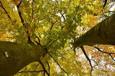DSC_0074-EDIT.jpg