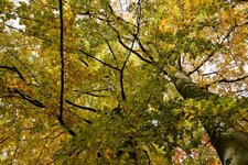DSC_0087-EDIT.jpg