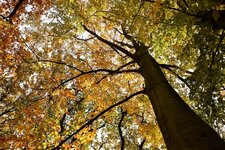 DSC_0076-EDIT.jpg