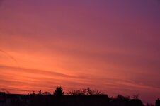 DSC_0006.JPG