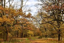 DSC_0169-EDIT.jpg