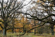DSC_0021-EDIT.jpg