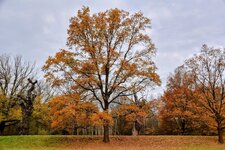 DSC_0203-EDIT-EDIT.jpg