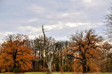DSC_0247-EDIT-EDIT.jpg