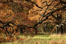 DSC_0107.JPG
