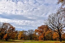 DSC_0057-EDIT-EDIT.jpg