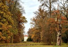 DSC_0179-EDIT.jpg