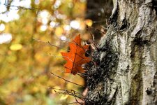 DSC_0197-EDIT.jpg