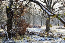 DSC_0004-EDIT.jpg