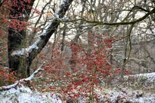 DSC_0058-EDIT.jpg
