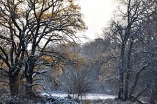 DSC_0017-EDIT.jpg