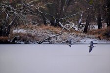 DSC_0258-EDIT.jpg