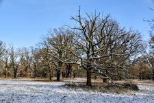DSC_0013-EDIT.jpg