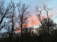 IMG_8097.jpg