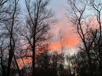 IMG_8098.jpg
