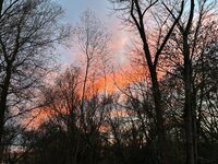 IMG_8099.jpg