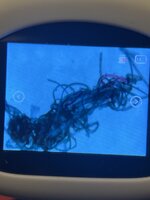 IMG_9157.jpeg