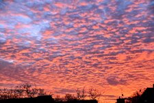 DSC_0070-EDIT.jpg