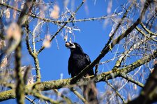 DSC_0431.JPG