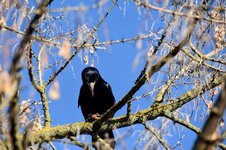 DSC_0447-EDIT.jpg