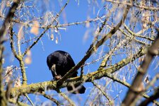 DSC_0446-EDIT.jpg