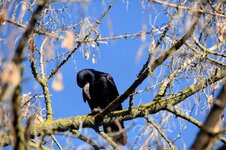 DSC_0448-EDIT.jpg