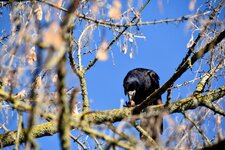 DSC_0428-EDIT.jpg